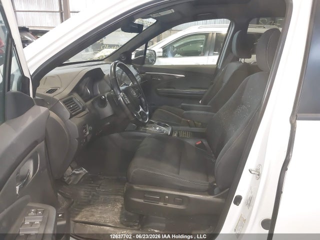 Продаж на аукціоні авто 2020 Honda Passport Sport, vin: 5FNYF8H2XLB501487, номер лоту: 12637702
