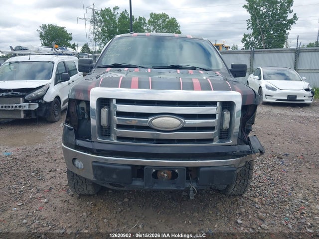 Продажа на аукционе авто 2009 Ford F-150 Stx/xl/xlt, vin: 1FTRX14839FB42250, номер лота: 12620902