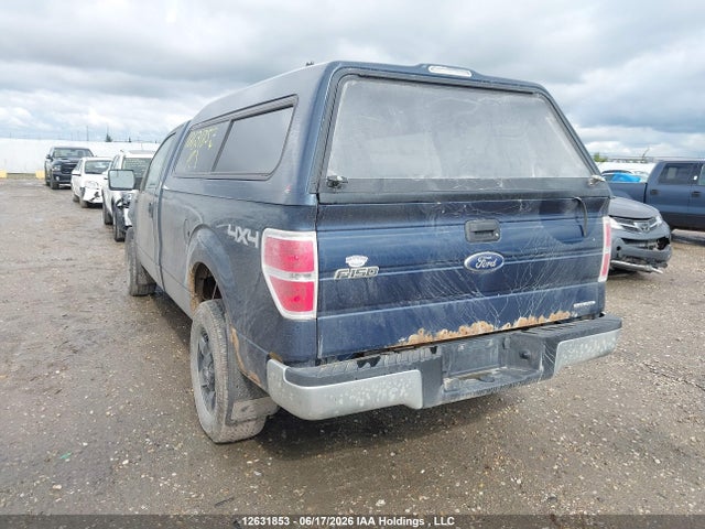Ford F-150 Xlt 2014 1FTMF1EMXEKF41411 Image 3