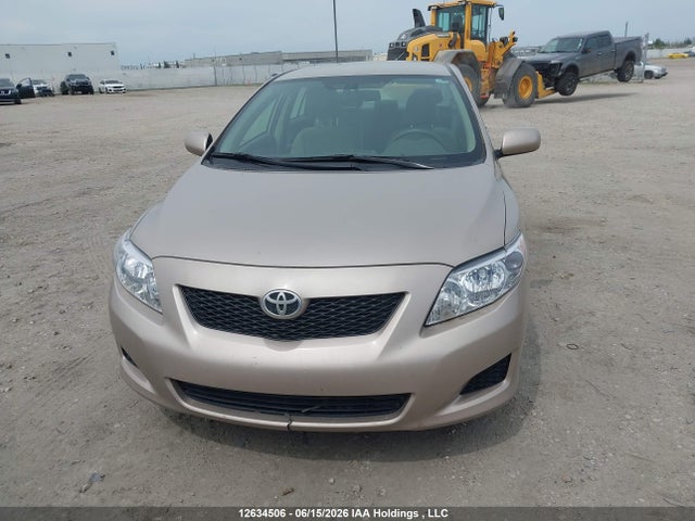 12634506 :رقم المزاد ، 2T1BU4EEXAC205356 vin ، 2010 Toyota Corolla Ce مزاد بيع