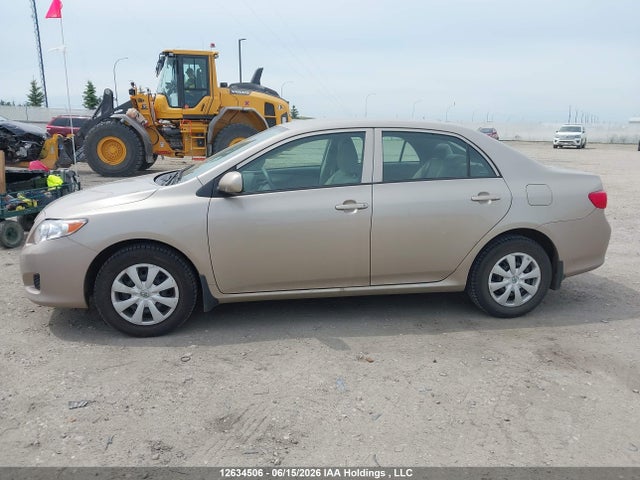 12634506 :رقم المزاد ، 2T1BU4EEXAC205356 vin ، 2010 Toyota Corolla Ce مزاد بيع