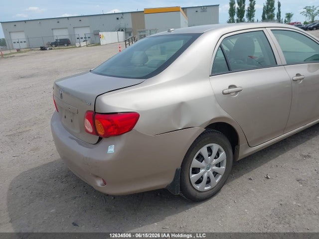 12634506 :رقم المزاد ، 2T1BU4EEXAC205356 vin ، 2010 Toyota Corolla Ce مزاد بيع