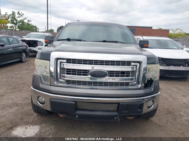 12637842 :رقم المزاد ، 1FTFW1ET5DFD59932 vin ، 2013 Ford F-150 مزاد بيع