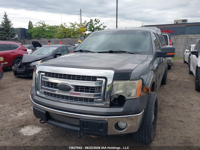 12637842 :رقم المزاد ، 1FTFW1ET5DFD59932 vin ، 2013 Ford F-150 مزاد بيع