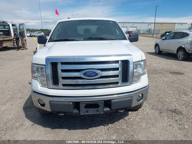 12637959 :رقم المزاد ، 1FTFW1EFXCFB46533 vin ، 2012 Ford F-150 Fx4/king Ranch/lariat/platinum/xlt مزاد بيع