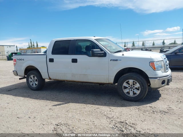 12637959 :رقم المزاد ، 1FTFW1EFXCFB46533 vin ، 2012 Ford F-150 Fx4/king Ranch/lariat/platinum/xlt مزاد بيع