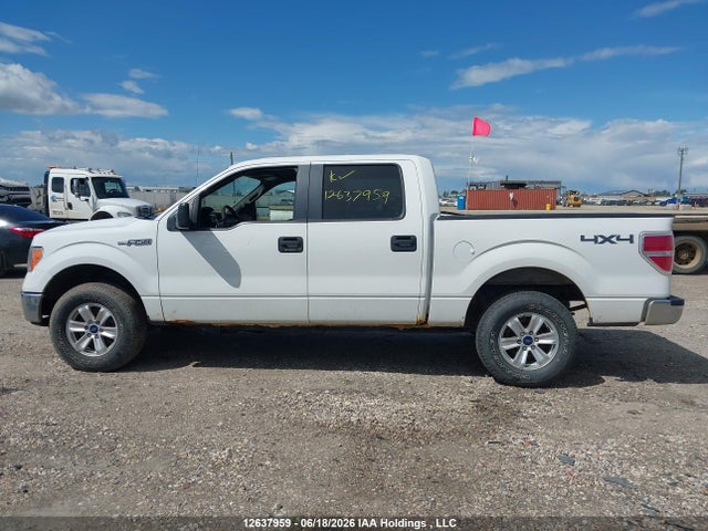 12637959 :رقم المزاد ، 1FTFW1EFXCFB46533 vin ، 2012 Ford F-150 Fx4/king Ranch/lariat/platinum/xlt مزاد بيع