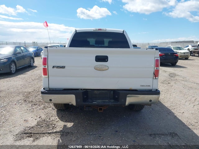 12637959 :رقم المزاد ، 1FTFW1EFXCFB46533 vin ، 2012 Ford F-150 Fx4/king Ranch/lariat/platinum/xlt مزاد بيع