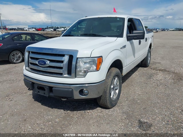 12637959 :رقم المزاد ، 1FTFW1EFXCFB46533 vin ، 2012 Ford F-150 Fx4/king Ranch/lariat/platinum/xlt مزاد بيع