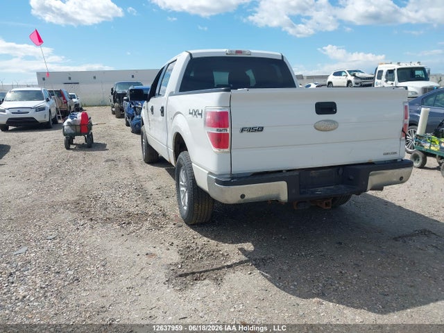 12637959 :رقم المزاد ، 1FTFW1EFXCFB46533 vin ، 2012 Ford F-150 Fx4/king Ranch/lariat/platinum/xlt مزاد بيع
