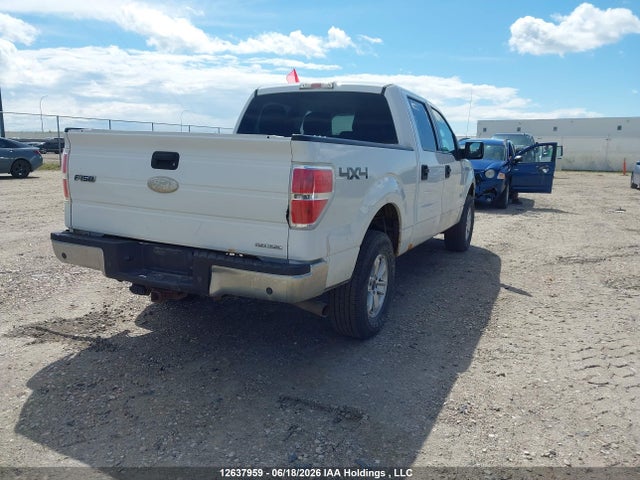 12637959 :رقم المزاد ، 1FTFW1EFXCFB46533 vin ، 2012 Ford F-150 Fx4/king Ranch/lariat/platinum/xlt مزاد بيع