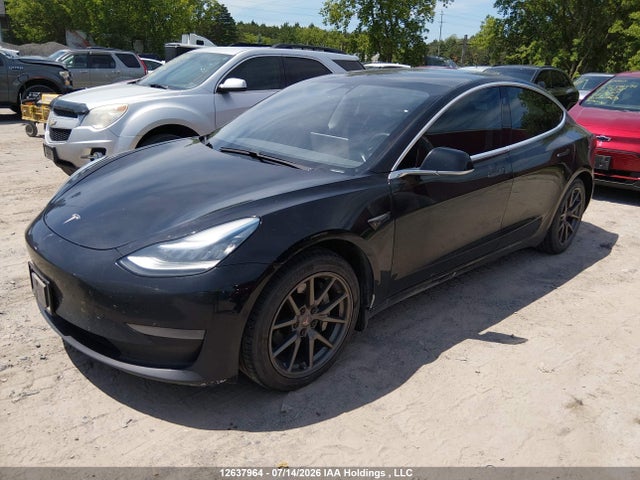 Продажа на аукционе авто 2020 Tesla Model 3 Standard Range Plus, vin: 5YJ3E1EA5LF715092, номер лота: 12637964