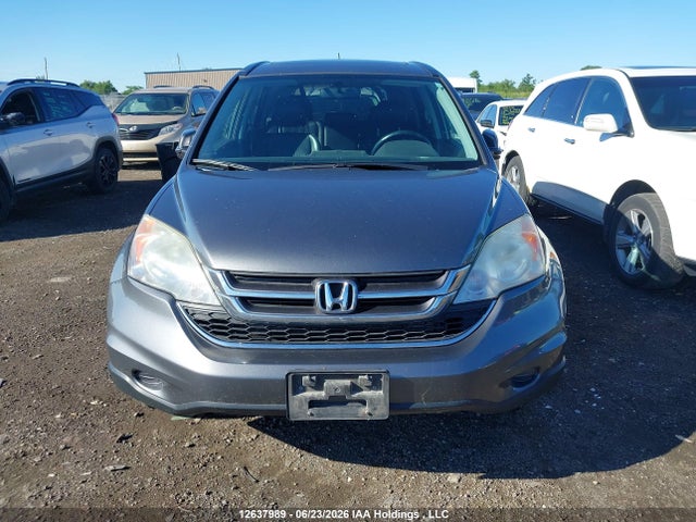 Aukcja sprzedaży 2010 Honda Cr-v Exl, vin: 5J6RE4H72AL803436, numer aukcji: 12637989