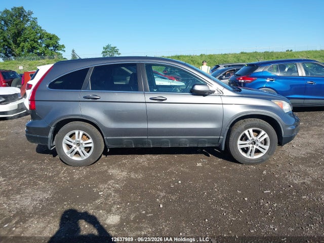 Aukcja sprzedaży 2010 Honda Cr-v Exl, vin: 5J6RE4H72AL803436, numer aukcji: 12637989