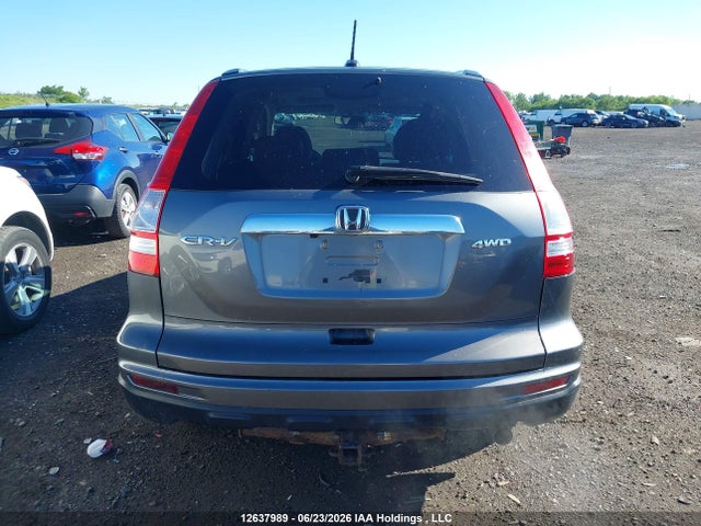 Aukcja sprzedaży 2010 Honda Cr-v Exl, vin: 5J6RE4H72AL803436, numer aukcji: 12637989