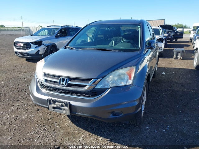 Aukcja sprzedaży 2010 Honda Cr-v Exl, vin: 5J6RE4H72AL803436, numer aukcji: 12637989