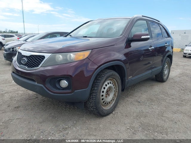 Продажа на аукционе авто 2011 Kia Sorento Lx, vin: 5XYKTCA10BG067137, номер лота: 12638065