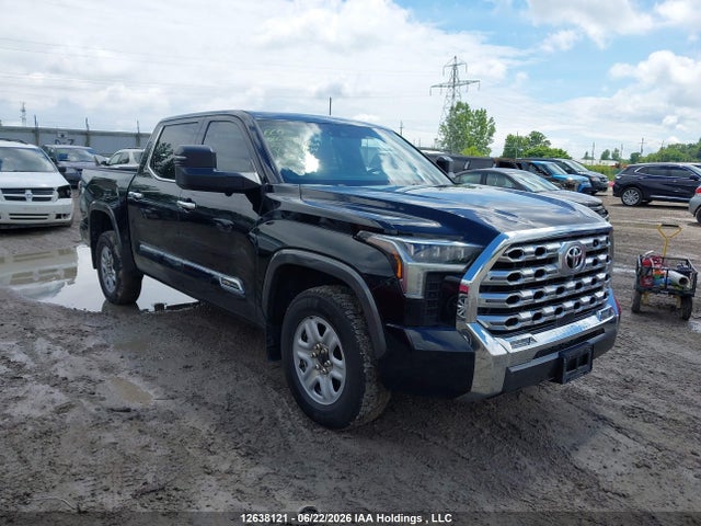 Aukcja sprzedaży 2023 Toyota Tundra Platinum, vin: 5TFMA5DB5PX098404, numer aukcji: 12638121
