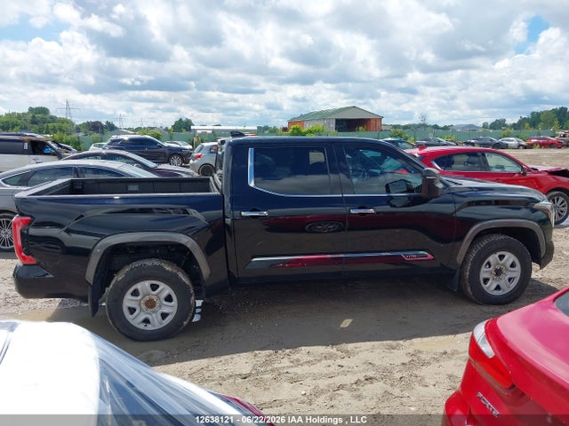 Продаж на аукціоні авто 2023 Toyota Tundra Platinum, vin: 5TFMA5DB5PX098404, номер лоту: 12638121