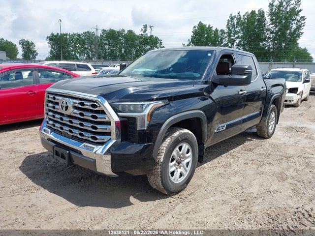 Продаж на аукціоні авто 2023 Toyota Tundra Platinum, vin: 5TFMA5DB5PX098404, номер лоту: 12638121