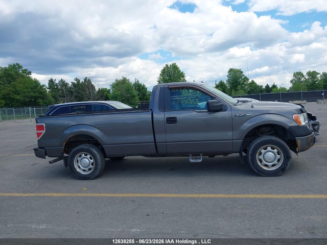 Продаж на аукціоні авто 2013 Ford F-150, vin: 1FTMF1CM9DKE64063, номер лоту: 12638255