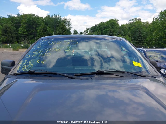 Продаж на аукціоні авто 2013 Ford F-150, vin: 1FTMF1CM9DKE64063, номер лоту: 12638255