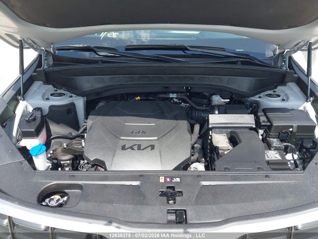 Продажа на аукционе авто 2024 Kia Telluride Sx/sx X-line/sx X-pro/sx Prestige/sx Prest X-ln/sx Prest X-pro, vin: 5XYP5DGC1RG448410, номер лота: 12638375