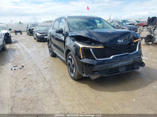Продажа на аукционе авто 2025 Kia Sorento Hev Ex, vin: KNDRGDJG4S5317856, номер лота: 12638432