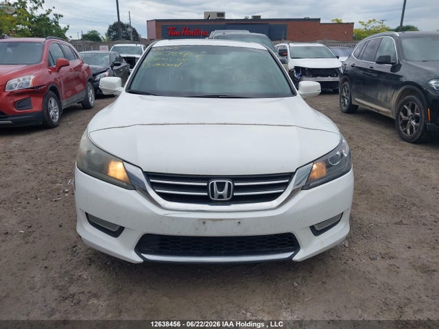 12638456 :رقم المزاد ، 1HGCR2F87DA800808 vin ، 2013 Honda Accord Exl مزاد بيع