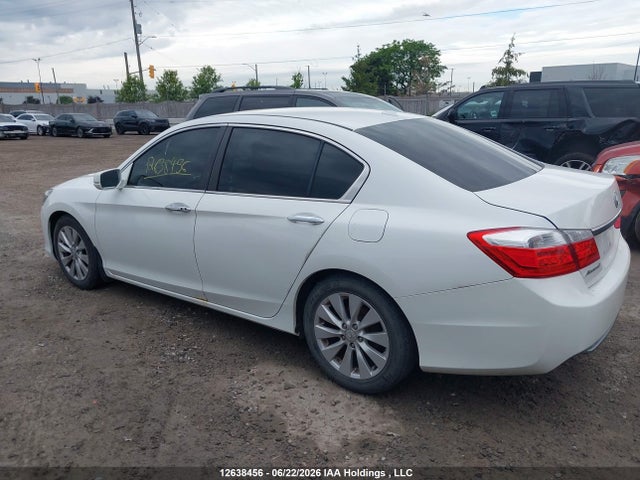 12638456 :رقم المزاد ، 1HGCR2F87DA800808 vin ، 2013 Honda Accord Exl مزاد بيع