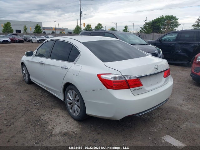 12638456 :رقم المزاد ، 1HGCR2F87DA800808 vin ، 2013 Honda Accord Exl مزاد بيع