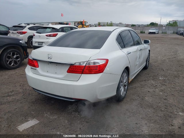 12638456 :رقم المزاد ، 1HGCR2F87DA800808 vin ، 2013 Honda Accord Exl مزاد بيع