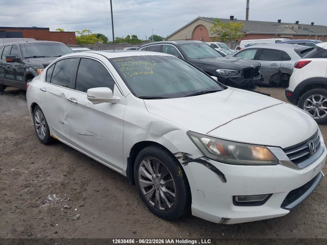 12638456 :رقم المزاد ، 1HGCR2F87DA800808 vin ، 2013 Honda Accord Exl مزاد بيع