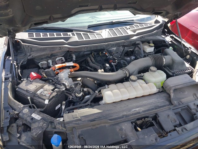 Продаж на аукціоні авто 2024 Ford F150 Xlt, vin: 1FTFW3LD9RFB44794, номер лоту: 12638545