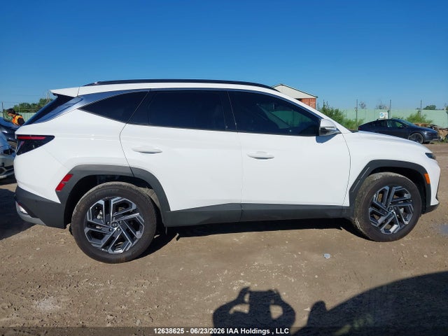 Продаж на аукціоні авто 2025 Hyundai Tucson Ultimate Hybrid Awd, vin: KM8JCDD14SU279689, номер лоту: 12638625