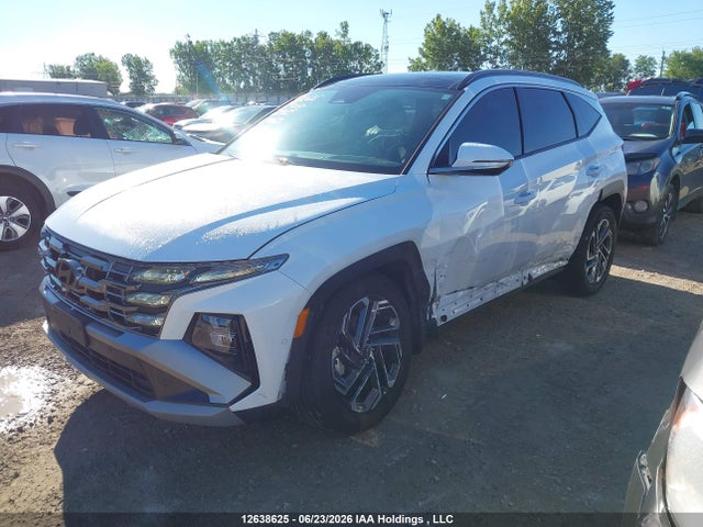 Продаж на аукціоні авто 2025 Hyundai Tucson Ultimate Hybrid Awd, vin: KM8JCDD14SU279689, номер лоту: 12638625