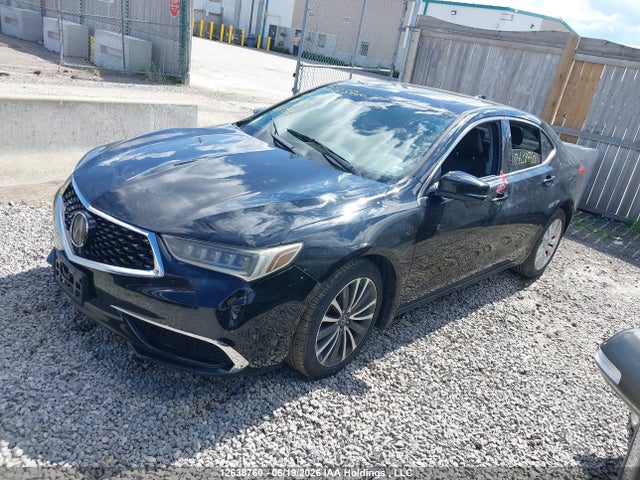 12638760 :رقم المزاد ، 19UUB3F59JA800602 vin ، 2018 Acura Tlx Tech مزاد بيع