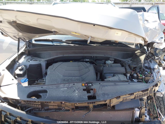 KIA Telluride 2025 5XYP5DGC8SG582420 Image 10