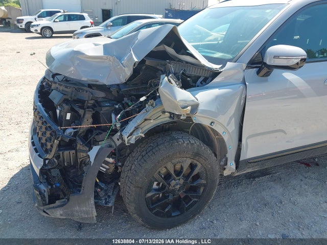 KIA Telluride 2025 5XYP5DGC8SG582420 Image 12