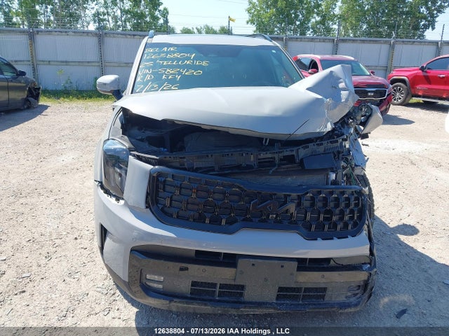 KIA Telluride 2025 5XYP5DGC8SG582420 Image 13