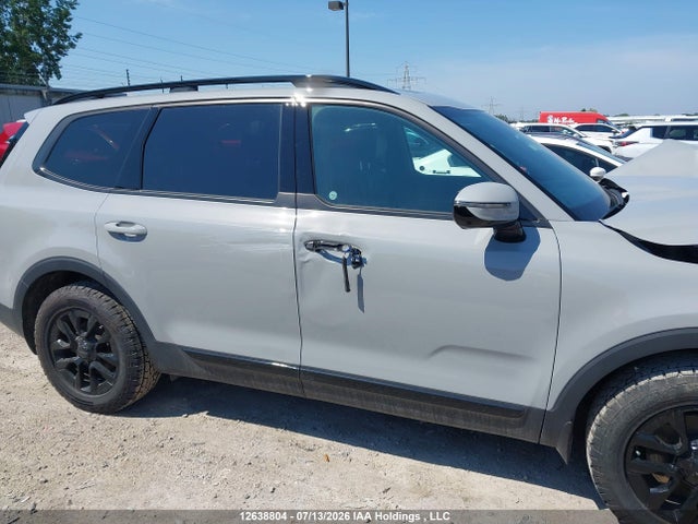 KIA Telluride 2025 5XYP5DGC8SG582420 Image 19
