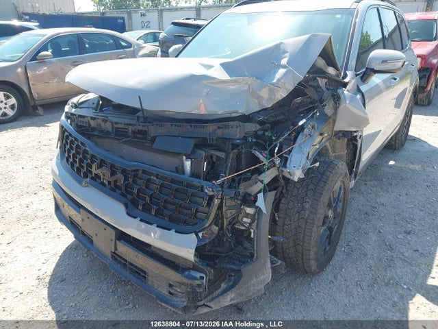 KIA Telluride 2025 5XYP5DGC8SG582420 Image 6