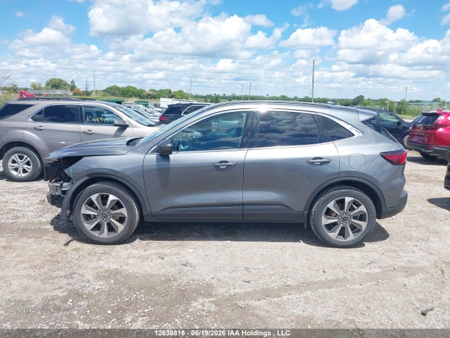 12638816 :رقم المزاد ، 1FMCU9JA6RUA51551 vin ، 2024 Ford Escape Platinum مزاد بيع