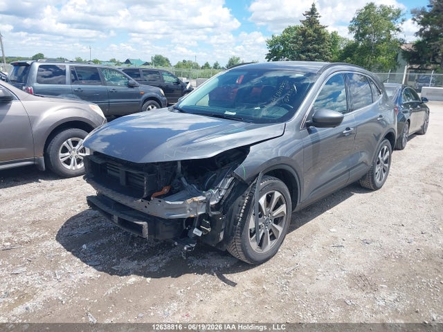 12638816 :رقم المزاد ، 1FMCU9JA6RUA51551 vin ، 2024 Ford Escape Platinum مزاد بيع
