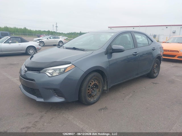 2T1BURHE1GC608448 Toyota COROLLA LE