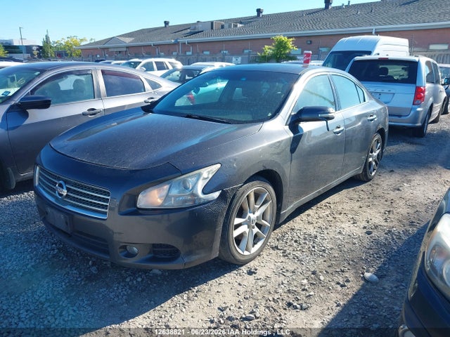 2010 Nissan Maxima S/sv მანქანა იყიდება აუქციონზე, vin: 1N4AA5AP2AC809564, აუქციონის ნომერი: 12638821