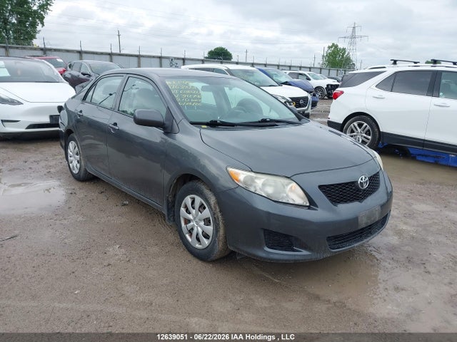 12639051 :رقم المزاد ، 2T1BU4EE6AC342746 vin ، 2010 Toyota Corolla S/le/xle مزاد بيع