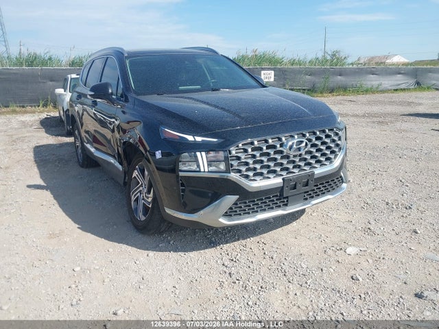 Продажа на аукционе авто 2023 Hyundai Santa Fe Preferred Awd With Trend Package, vin: 5NMS3DAJ7PH610096, номер лота: 12639396
