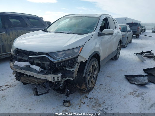 Продаж на аукціоні авто 2019 Honda Cr-v Ex-l, vin: 2HKRW2H80KH125081, номер лоту: 12558773