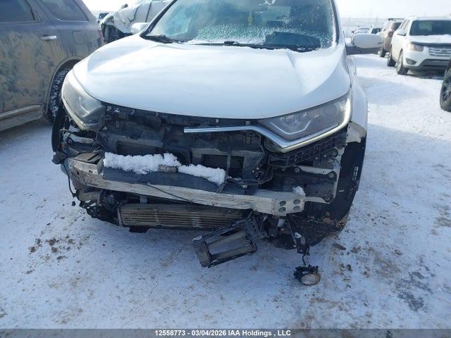 Продаж на аукціоні авто 2019 Honda Cr-v Ex-l, vin: 2HKRW2H80KH125081, номер лоту: 12558773